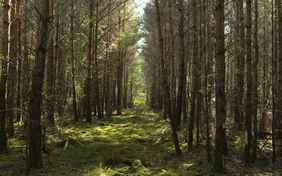 Die flache Landschaft ist auch für jüngere Kinder gut zu bewältigen
